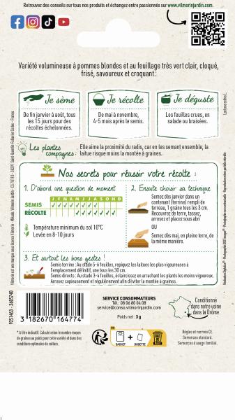 Potagères - Laitue Batavia Dorée de Printemps - MEDIA_PACKAGING_VERSO